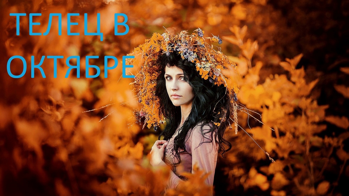 Телец в октябре. Фото wallhere.com