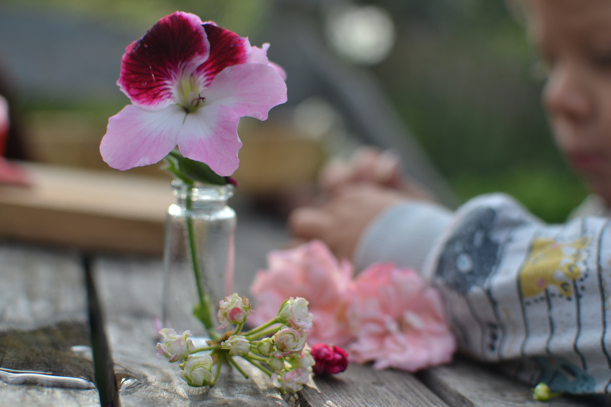 Три фотографии, листайте