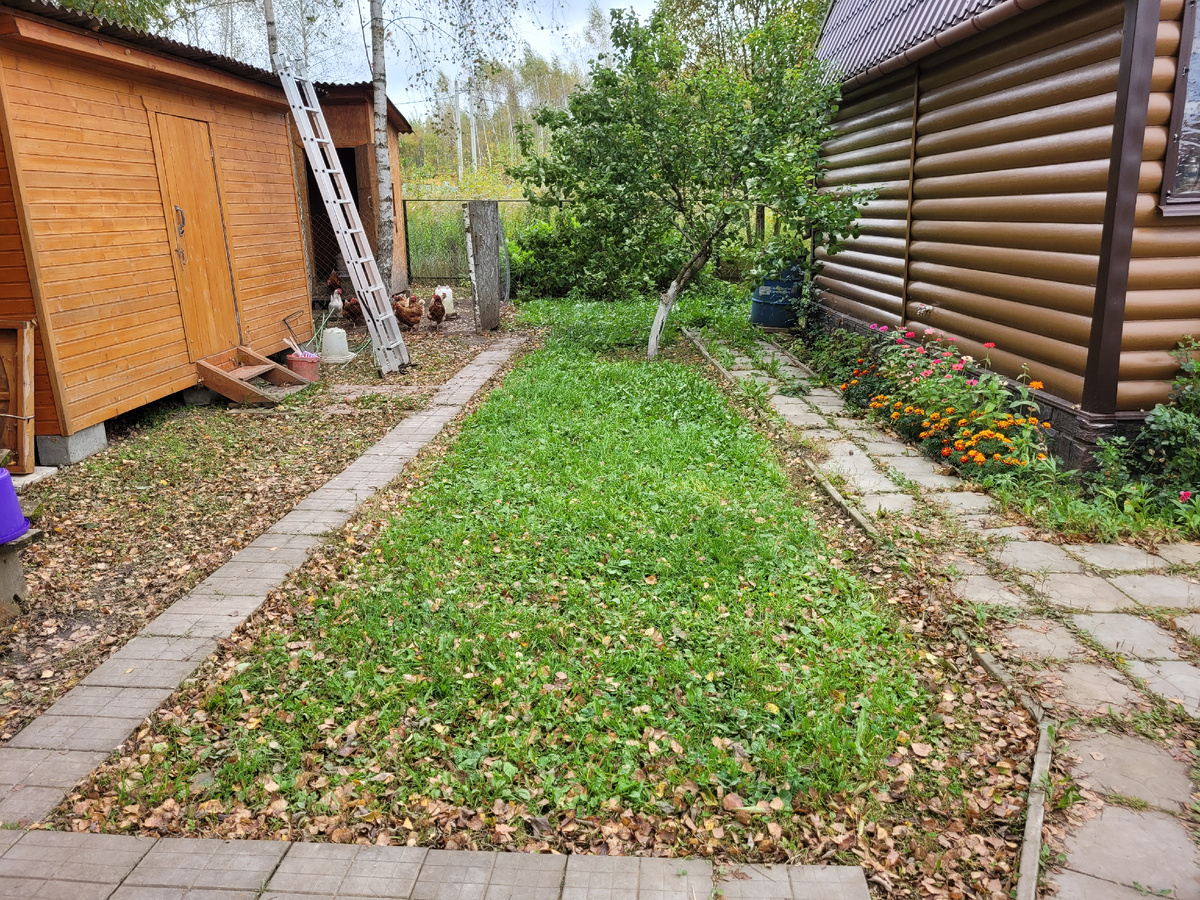 Не покошенный кусочек возле бани.