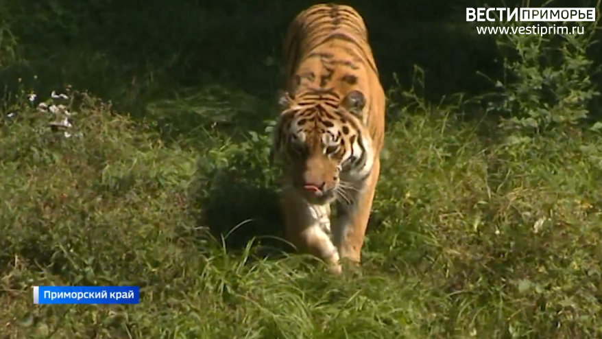    Источник фото: