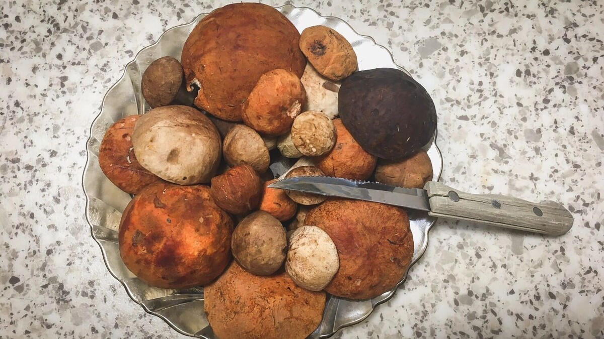     Источник: 1MI