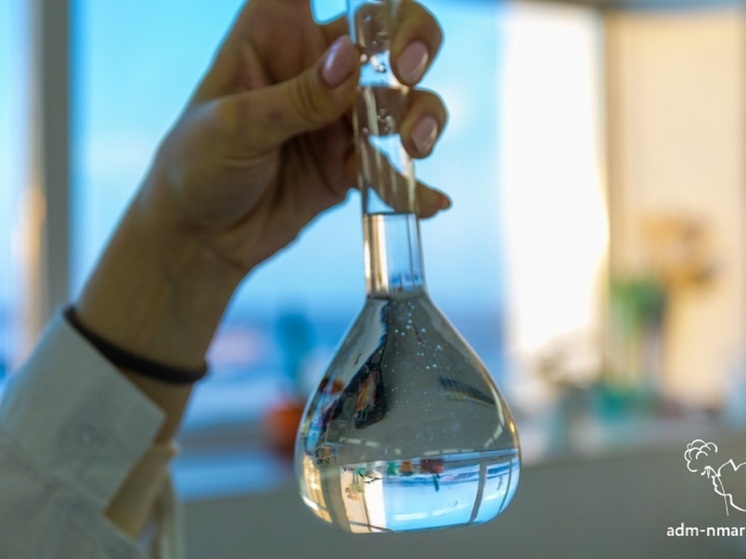     Фото администрации Нарьян-Мара.