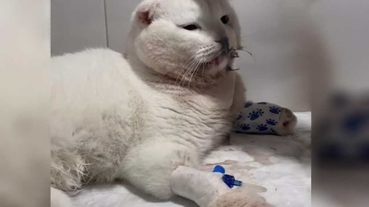    Фото: скриншот из видео, источник: Telegram-канал Mash