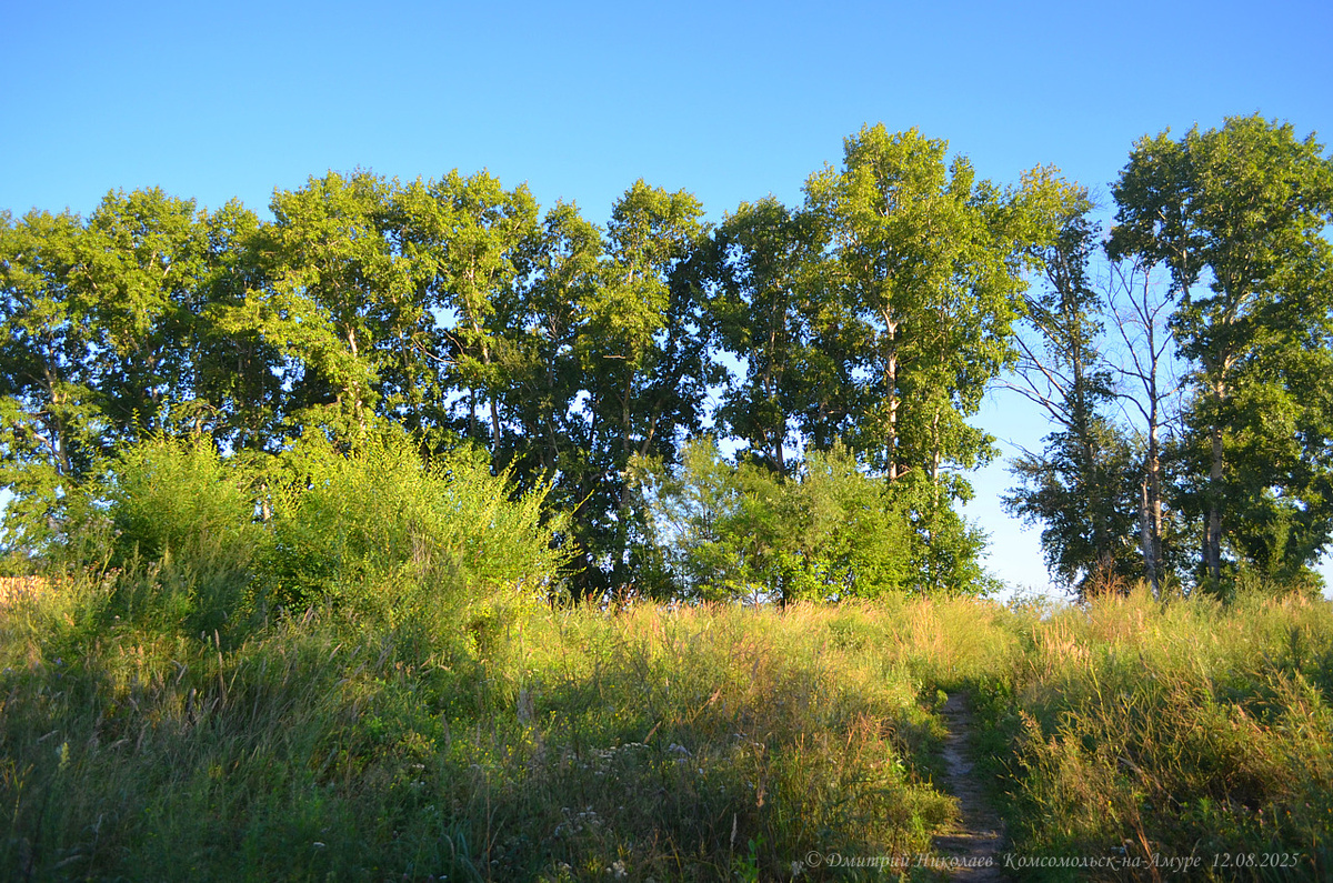 Место будущего «Делового центра»