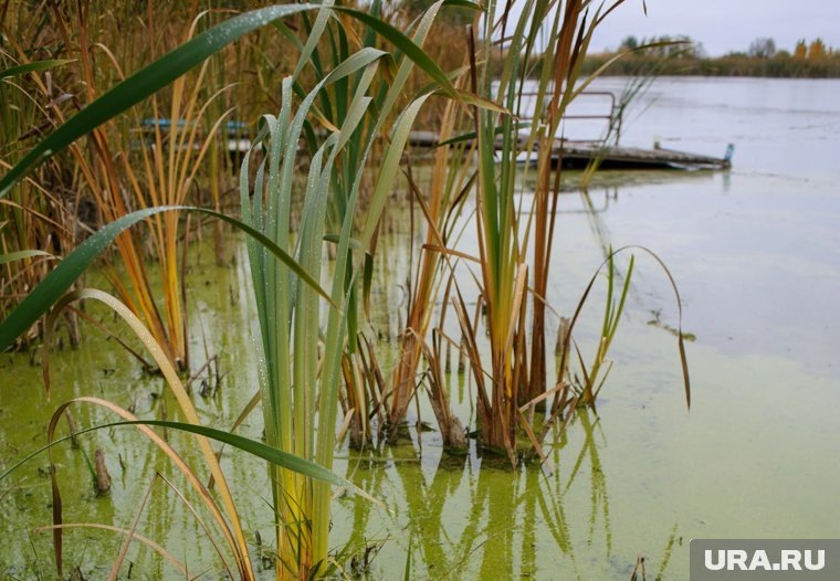    Вода сразу в трех челябинских озерах приобрела необычный цвет
