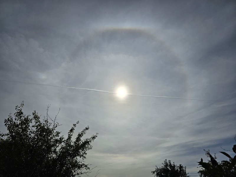    Фото: телеграм-канал "RZNASTRO"/ Евгений Пиманкин.