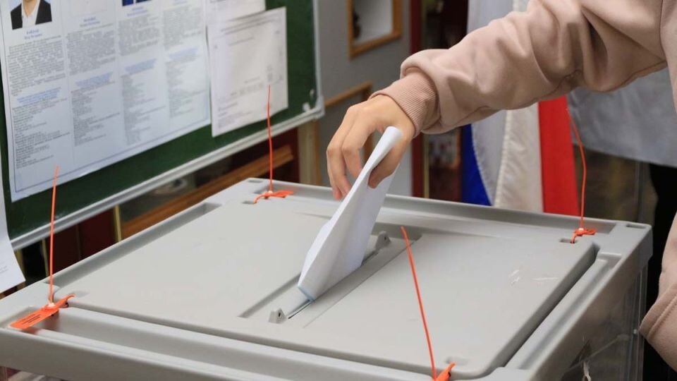    Выборы. Голосование. Источник: Олег Укладов