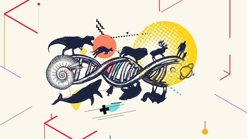 Что на самом деле отбирает природа?