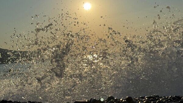    © Telegram-канал главы администрации Ялты Янины Павленко