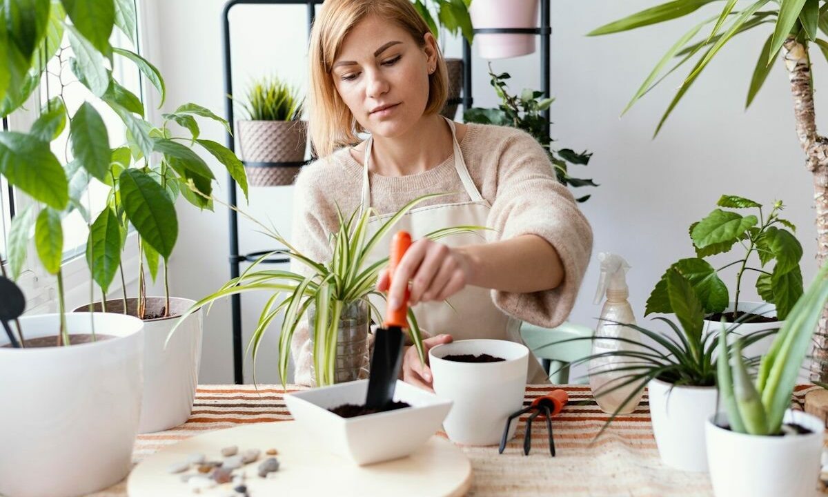    Фото freepik.com