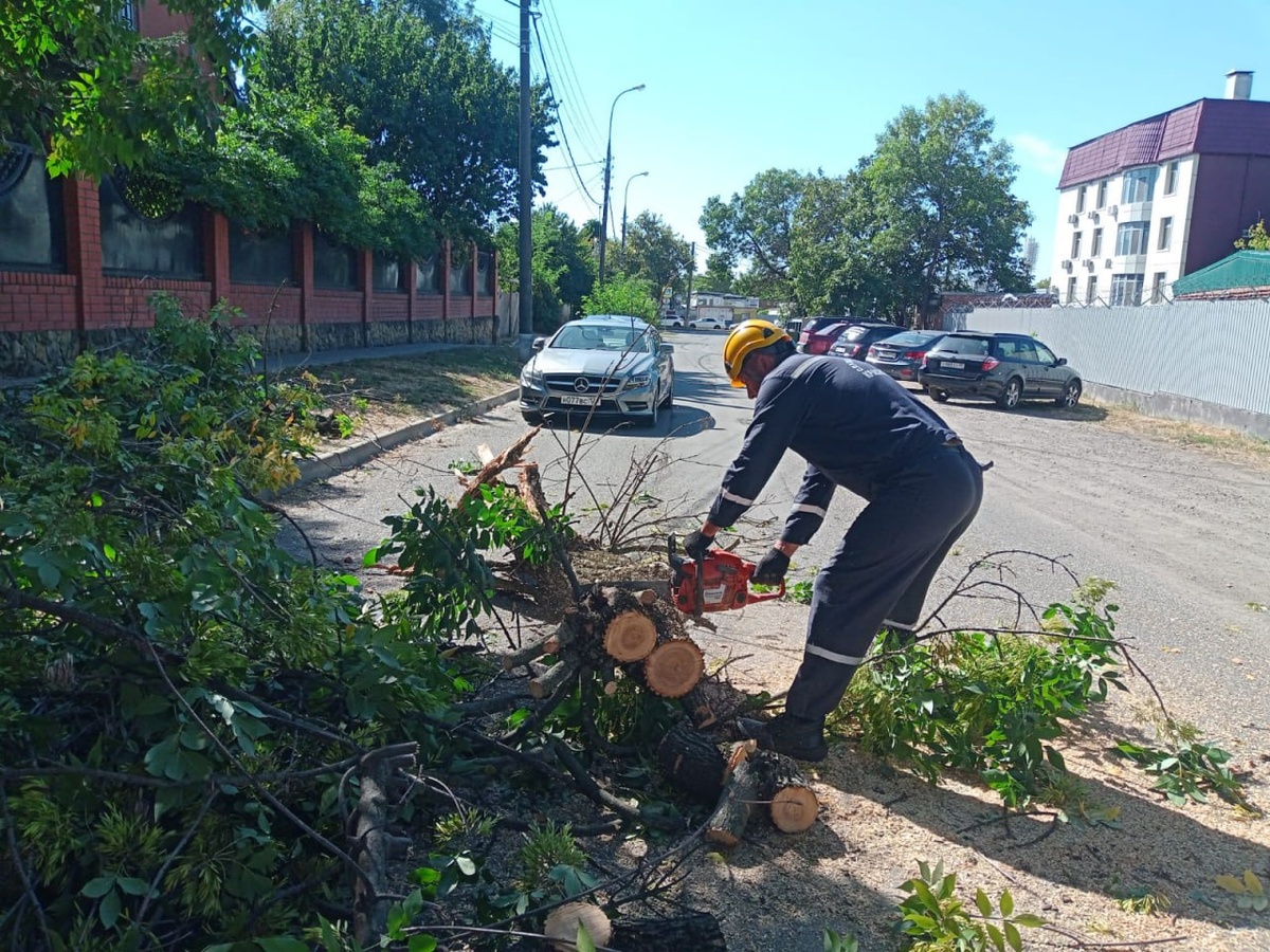    Фото: пресс-служба администрации Краснодара