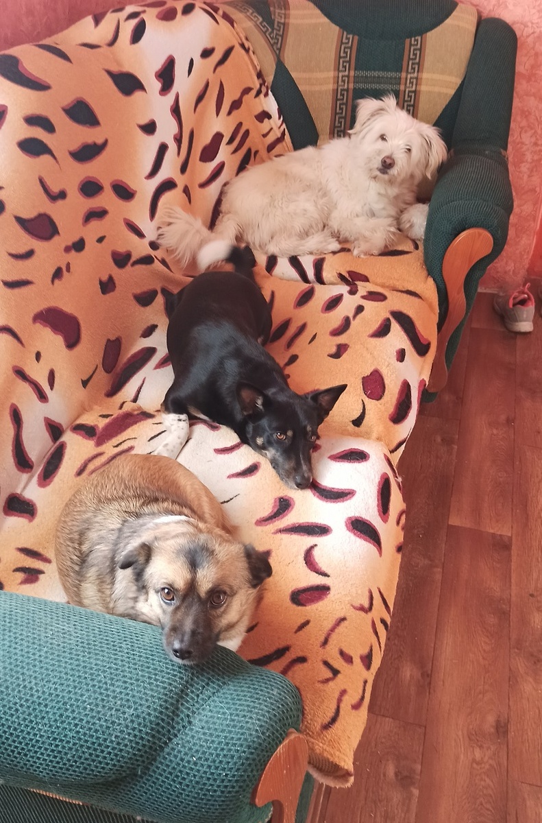 Фото автора