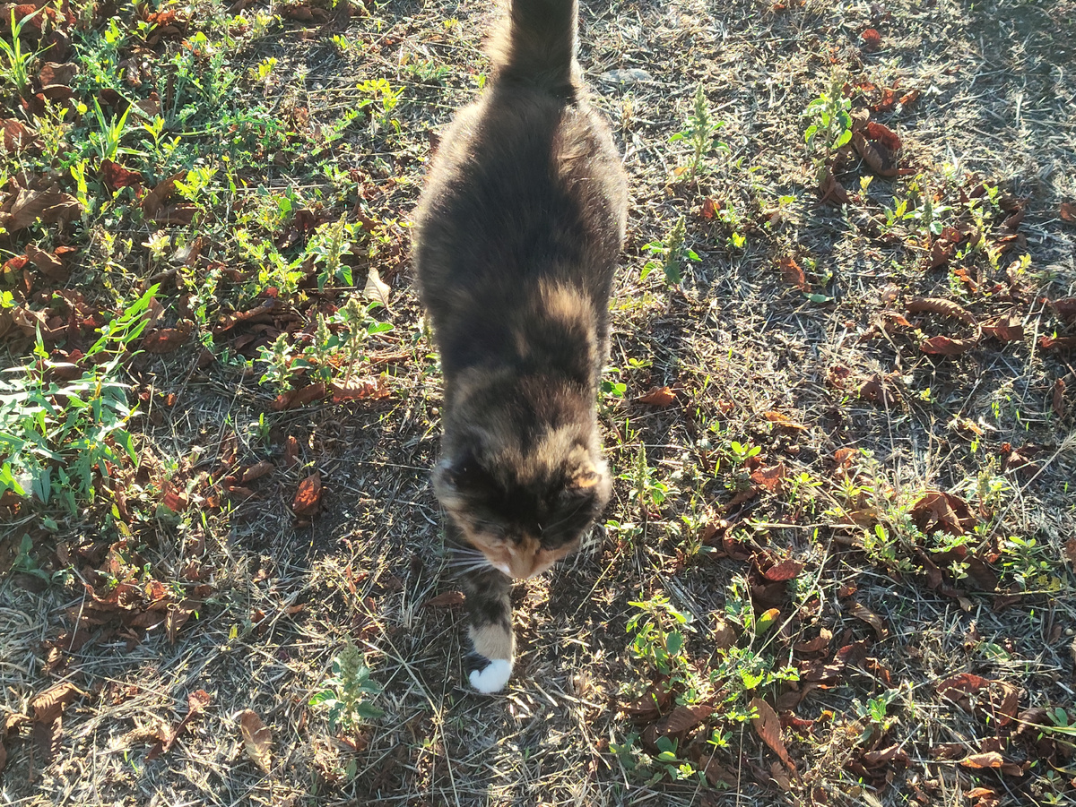 Муха откуда-то появилась....