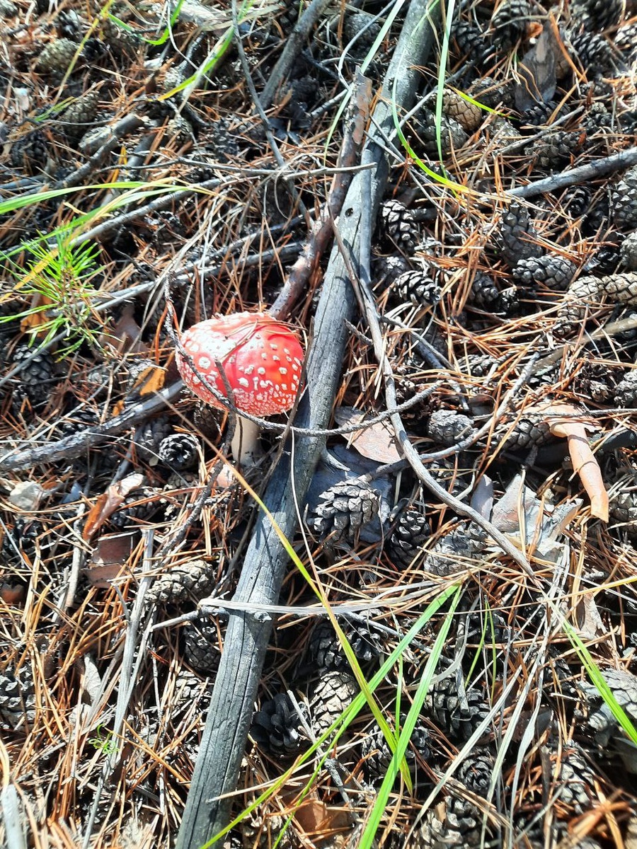 Фото автора.