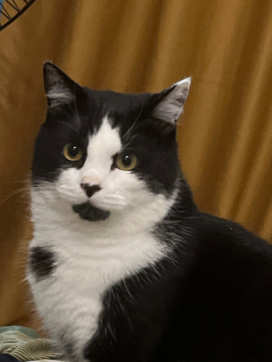 Извините, а будет что-то типо обеда?