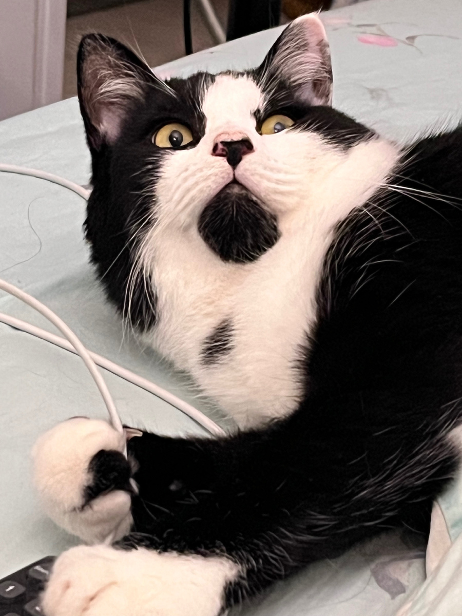 Он что не хочет меня кормить???