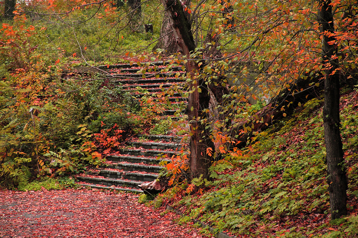 Фото из открытого источника