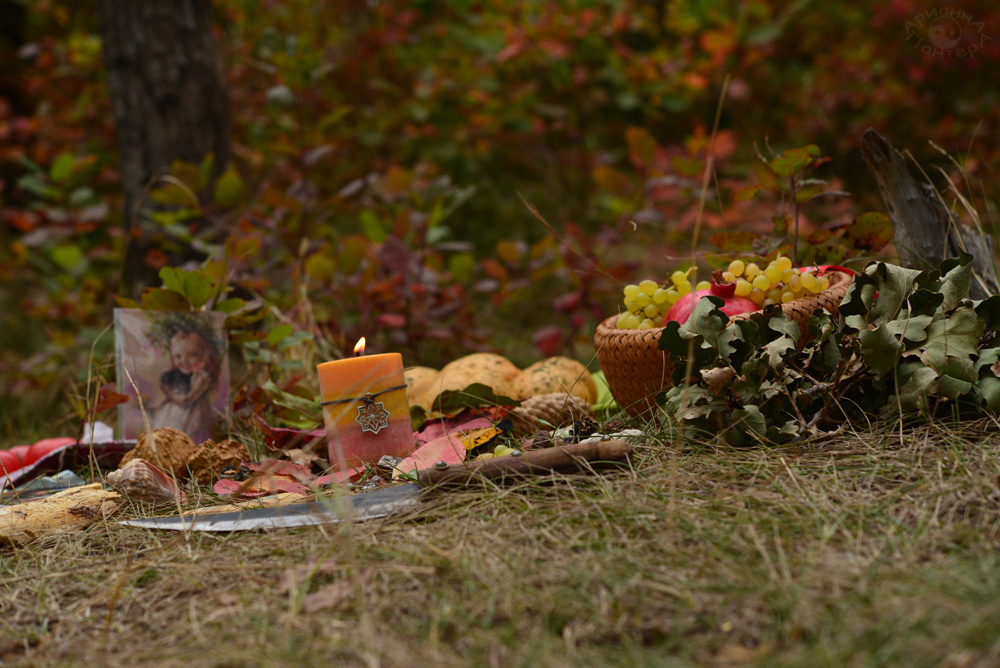 Фото из открытого источника