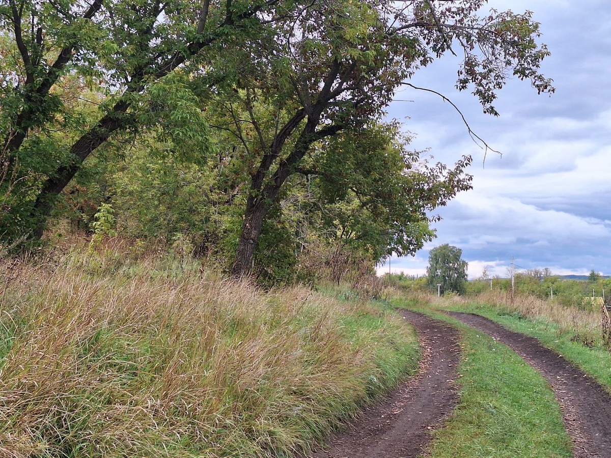 Что там за поворотом? Дорога, что ведёт чужими извилинами в никуда по кругу сансары? Или то, о чём ты давным - давно знаешь, мечтаешь, но твои собственные страхи так и не позволят тебе это УВИДЕТЬ? Что ты выбираешь - потёмки в бесконечных ожиданиях чужих людей или свой Свет, от которого может светиться вся планета и даже вселенная? ОТПУСКАЯ, ОТПУСКАЙ!