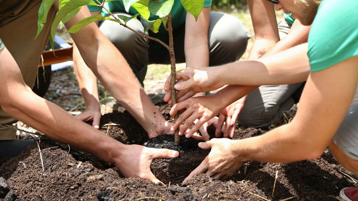    Фото: KOTOIMAGES/Shutterstock/Fotodom