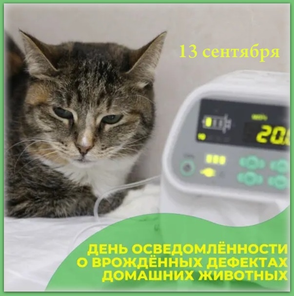 Коллаж автора