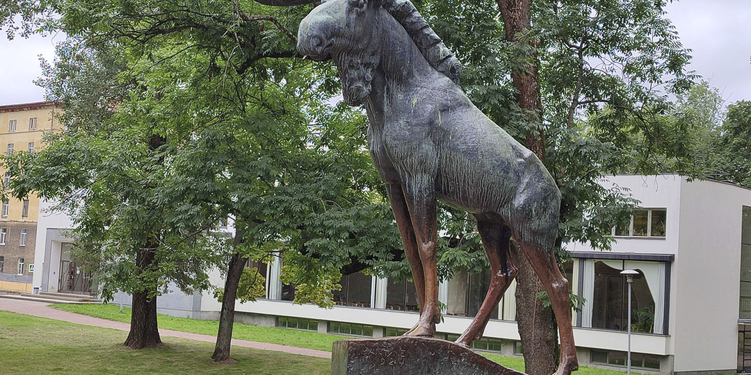 Что посмотреть в Выборге любознательному туристу. Личный опыт и немного теории