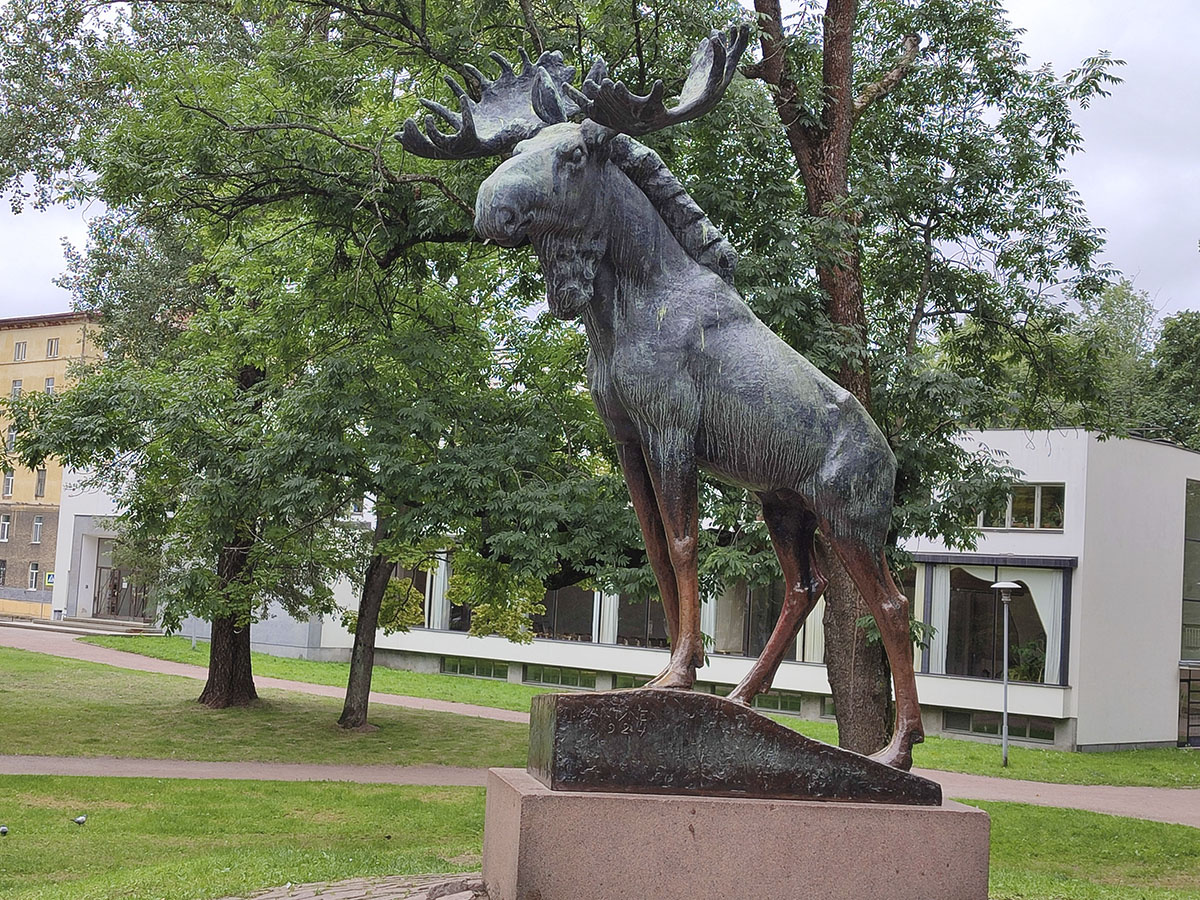 За Лосем библиотека