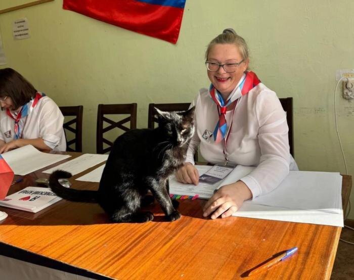 Обложка © Telegram / Избирком_Пермский край