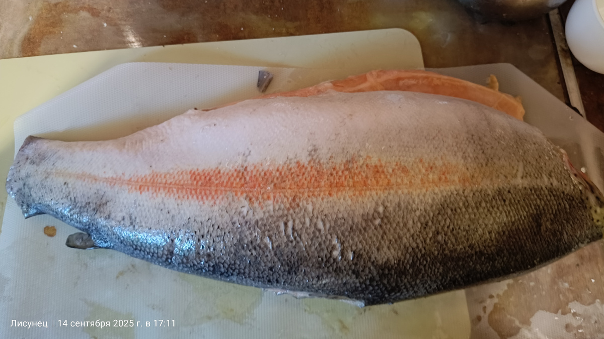 Фото автора. Форелька хорошая, чистенькая.