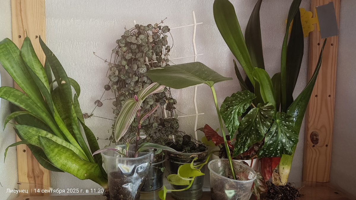 Фото авТора.