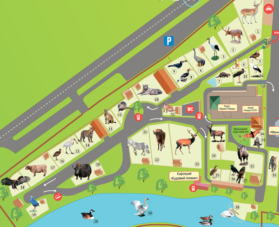 Фото первой зоны зоопарка.