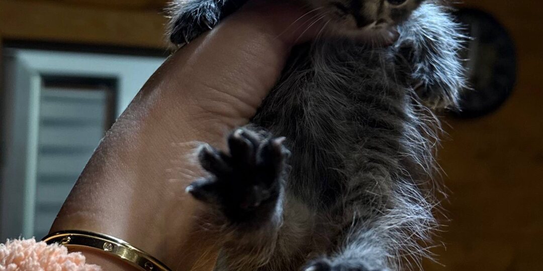 Добрый вечер