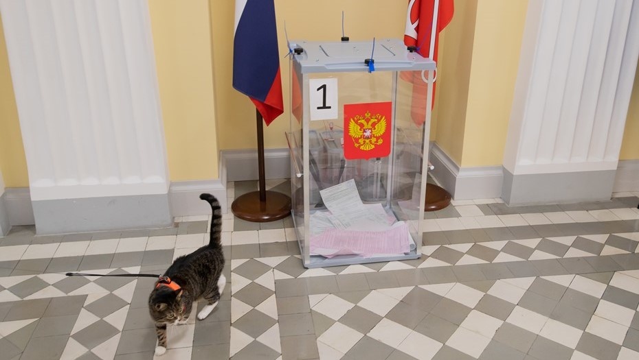    Автор фото: Ермохин Сергей/ДП