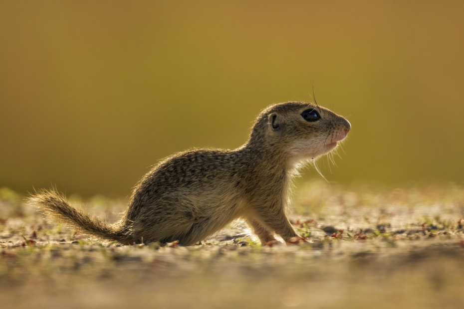    Thomas Hinsche/Global Look Press