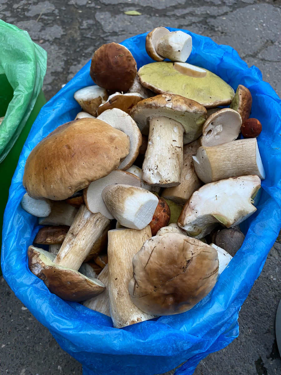 ну разве это не красота?