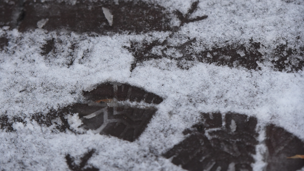    Фото: Царьград. Олег Рукавицын