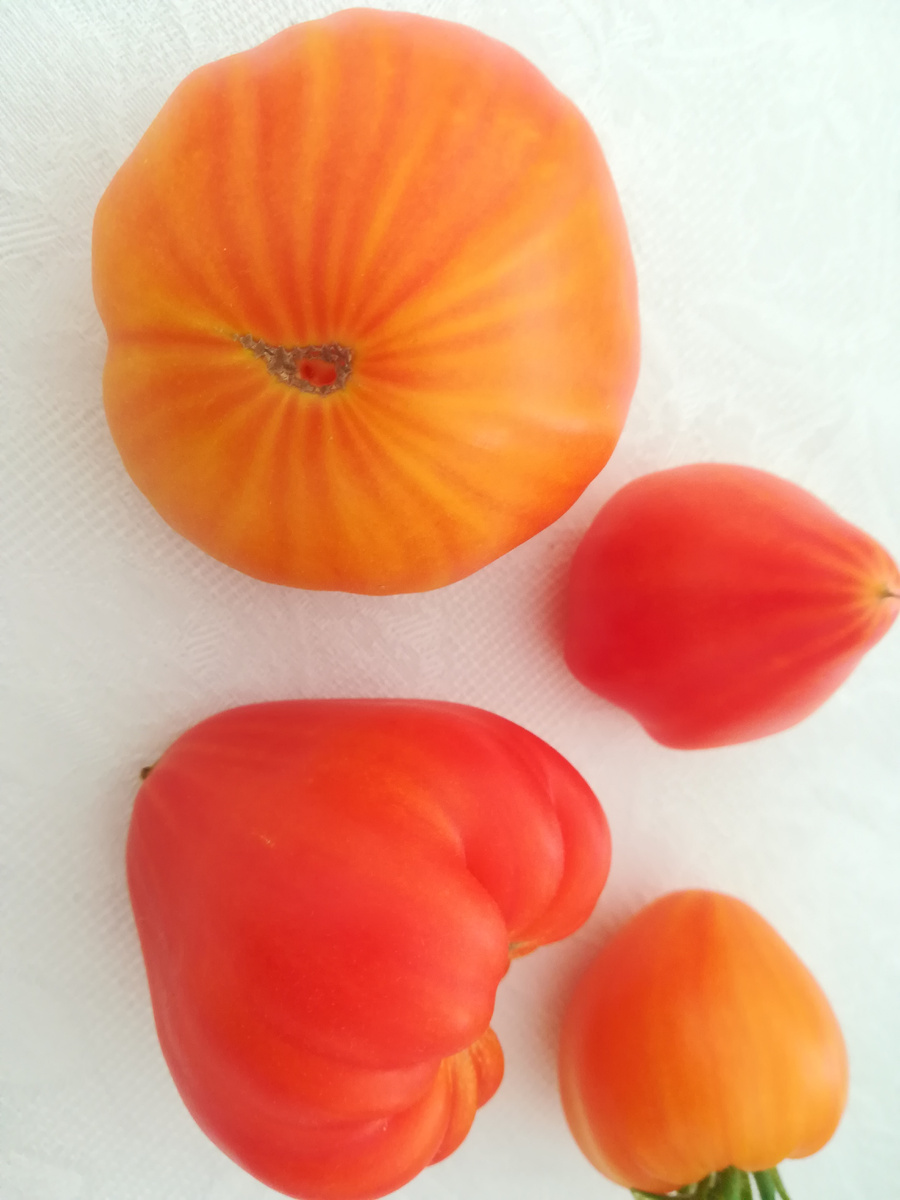 "Волшебные шляпы тётушки Гретель"