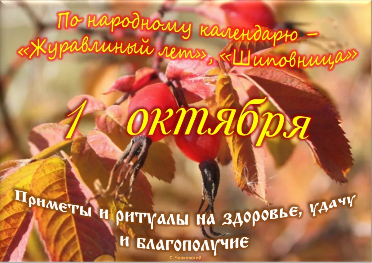 Встречаем новый день