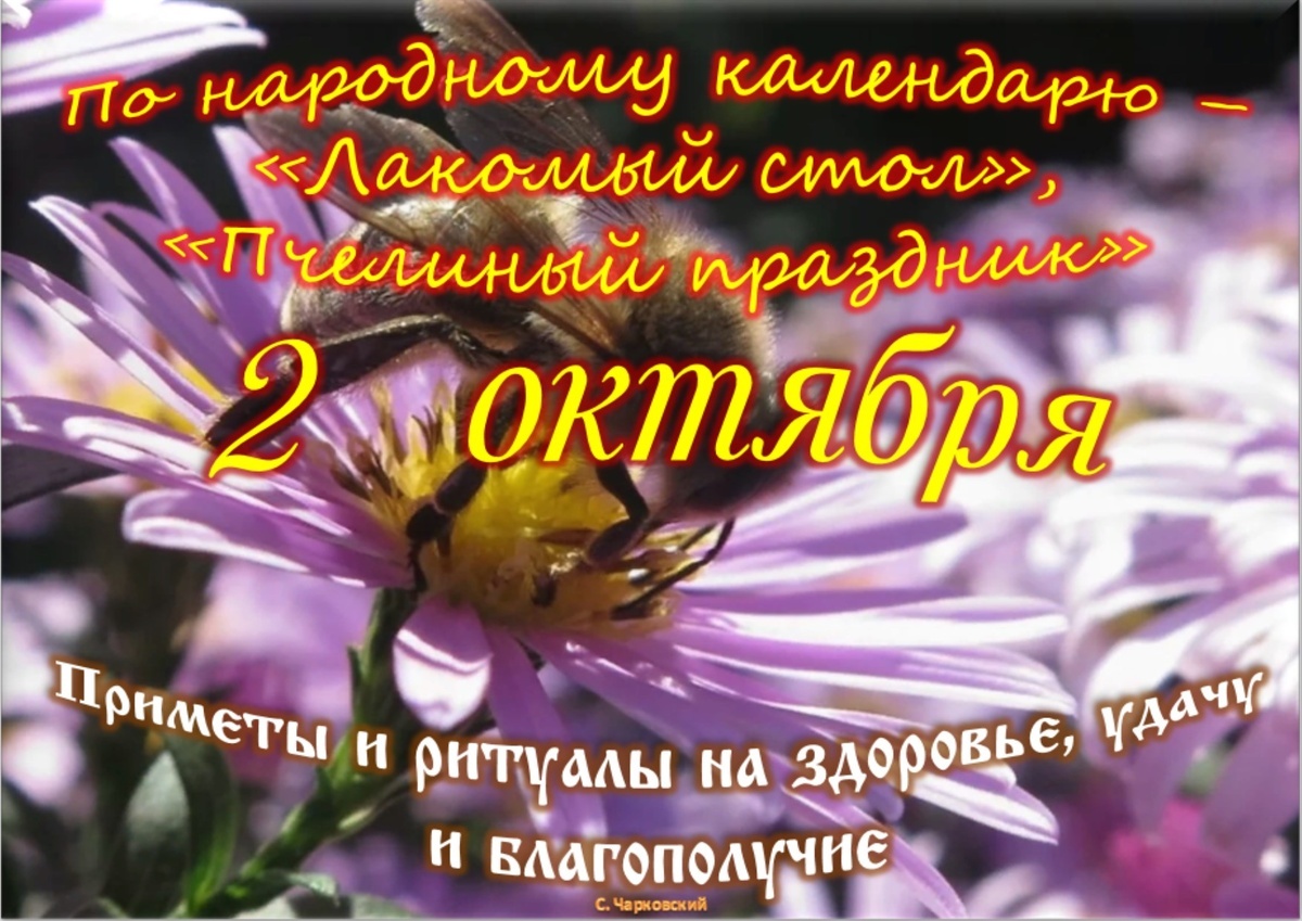 Встречаем новый день