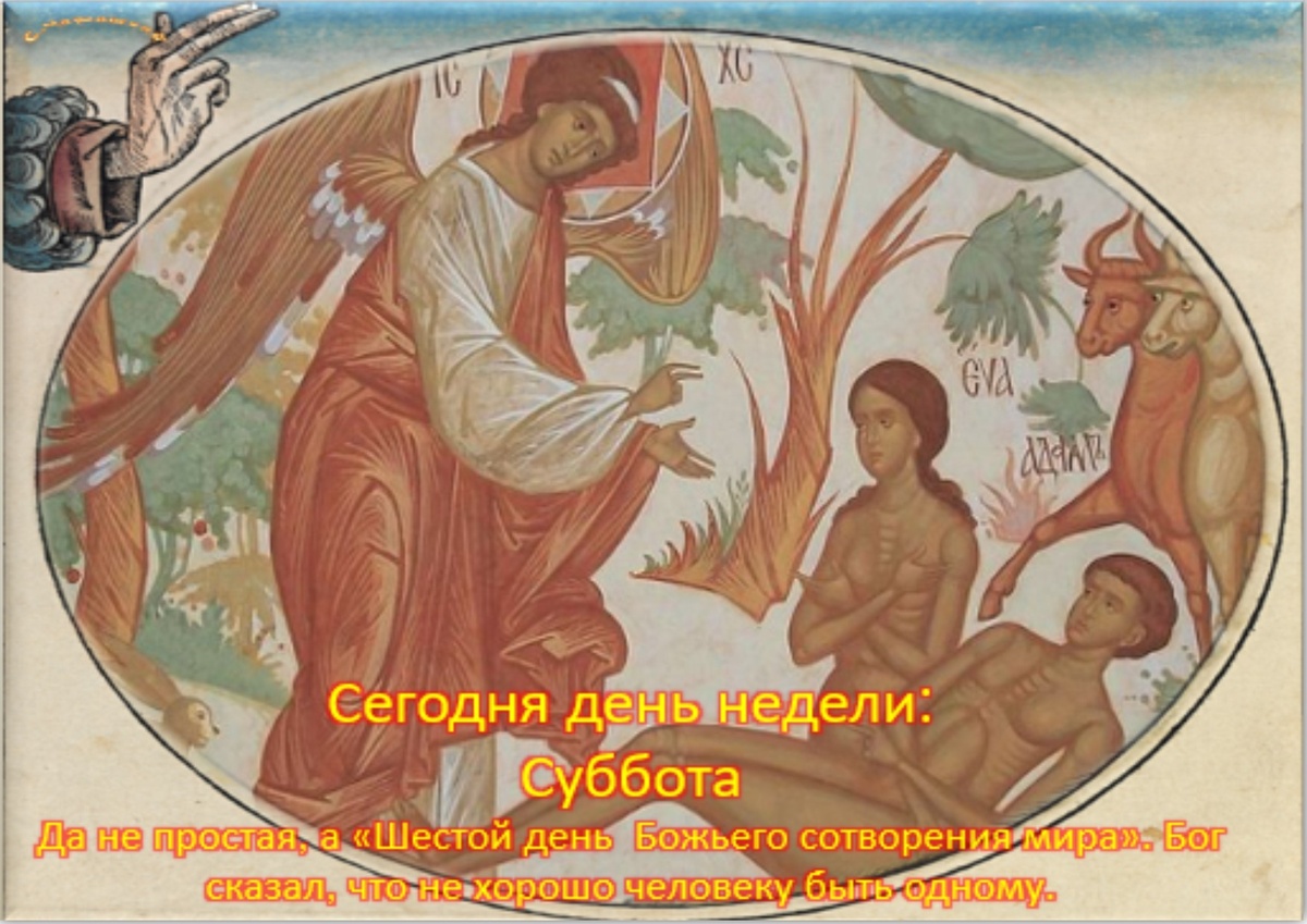 Встречаем новый день