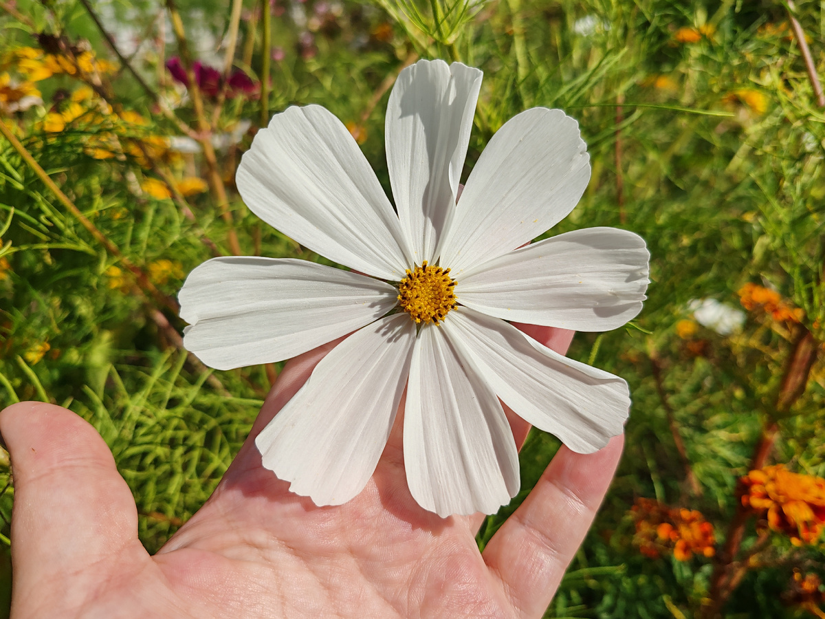 Фото автора канала. 