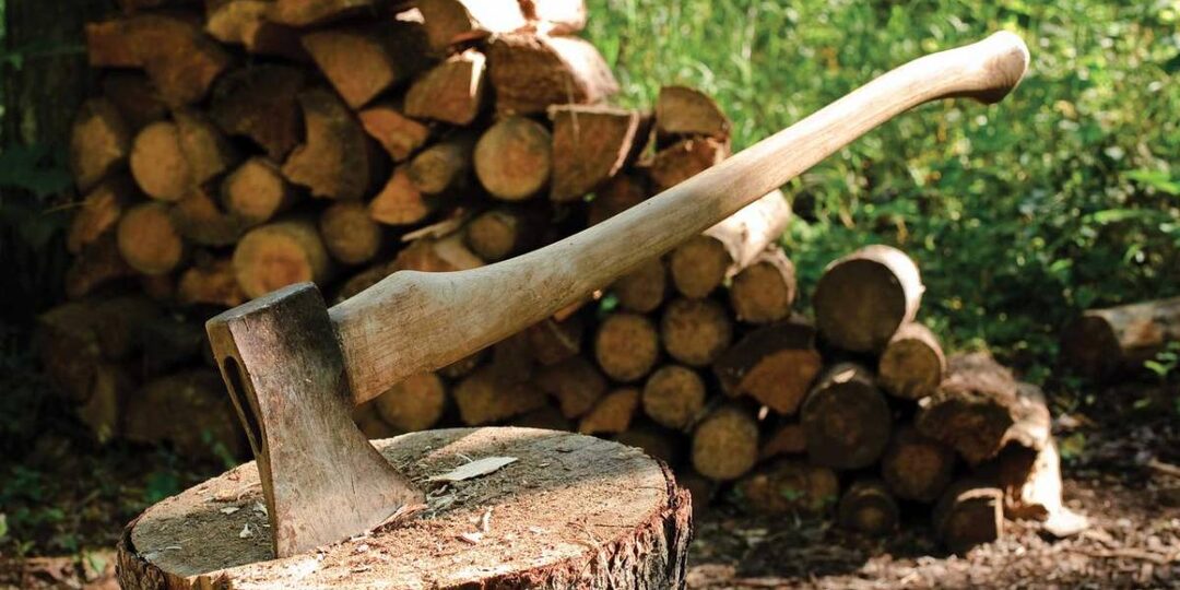 Пленница. Часть 1