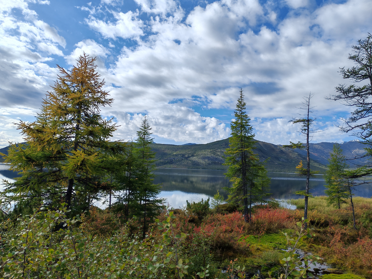 На берегу озера Джека Лондона 