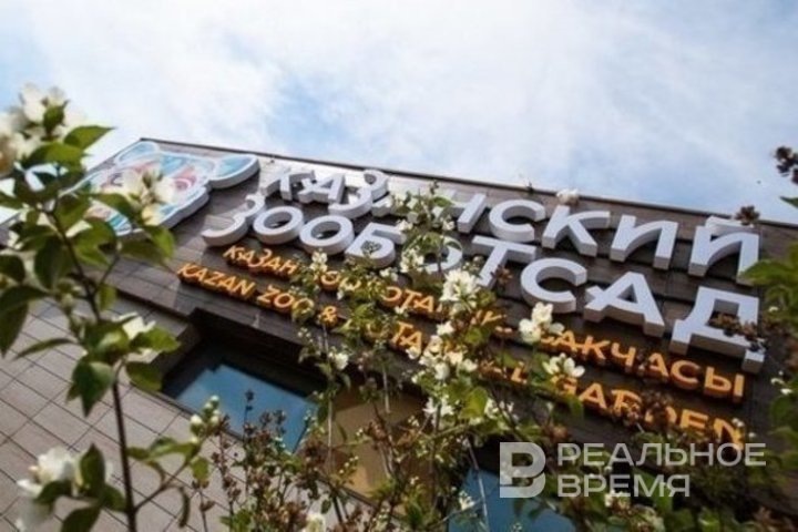   Максим Платонов / realnoevremya.ru