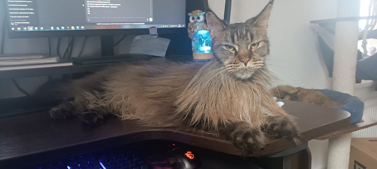 Это я жду, когда она уйдёт, чтобы всё прочитать!