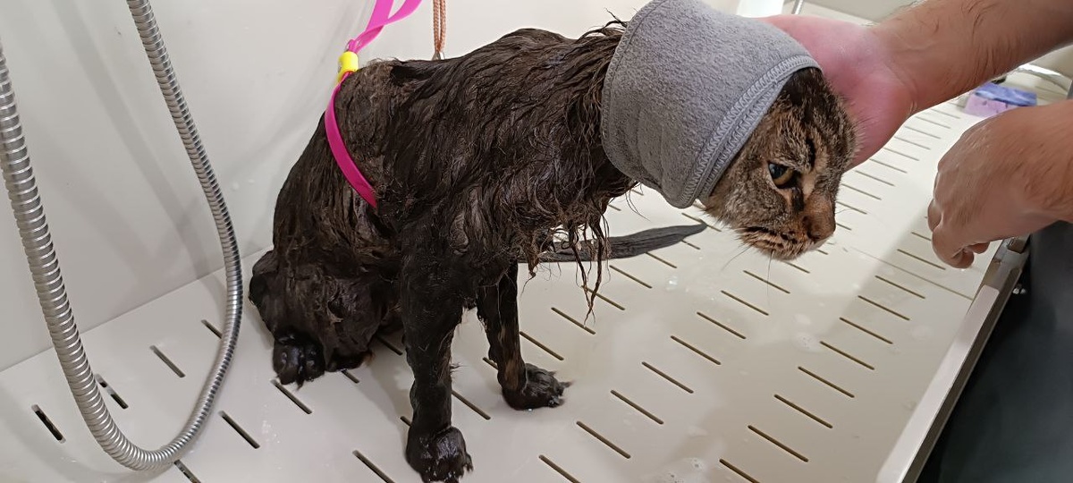 Вот такая я мокровая была