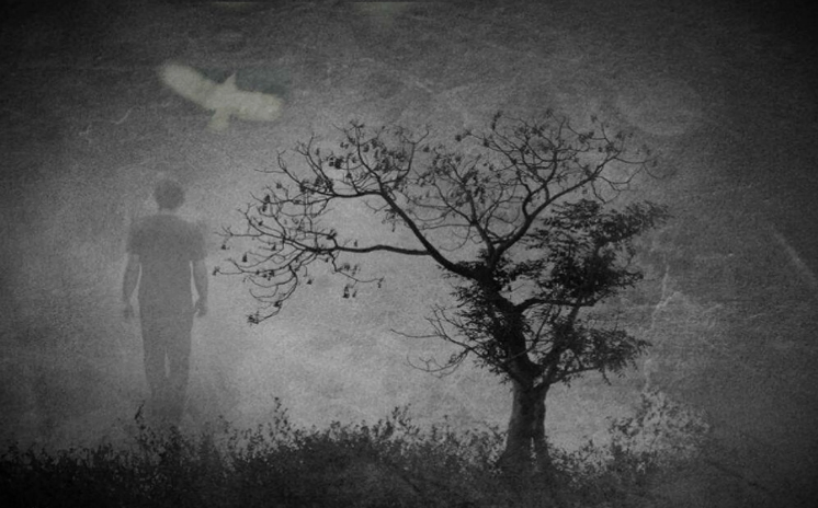 На следующий день после смерти