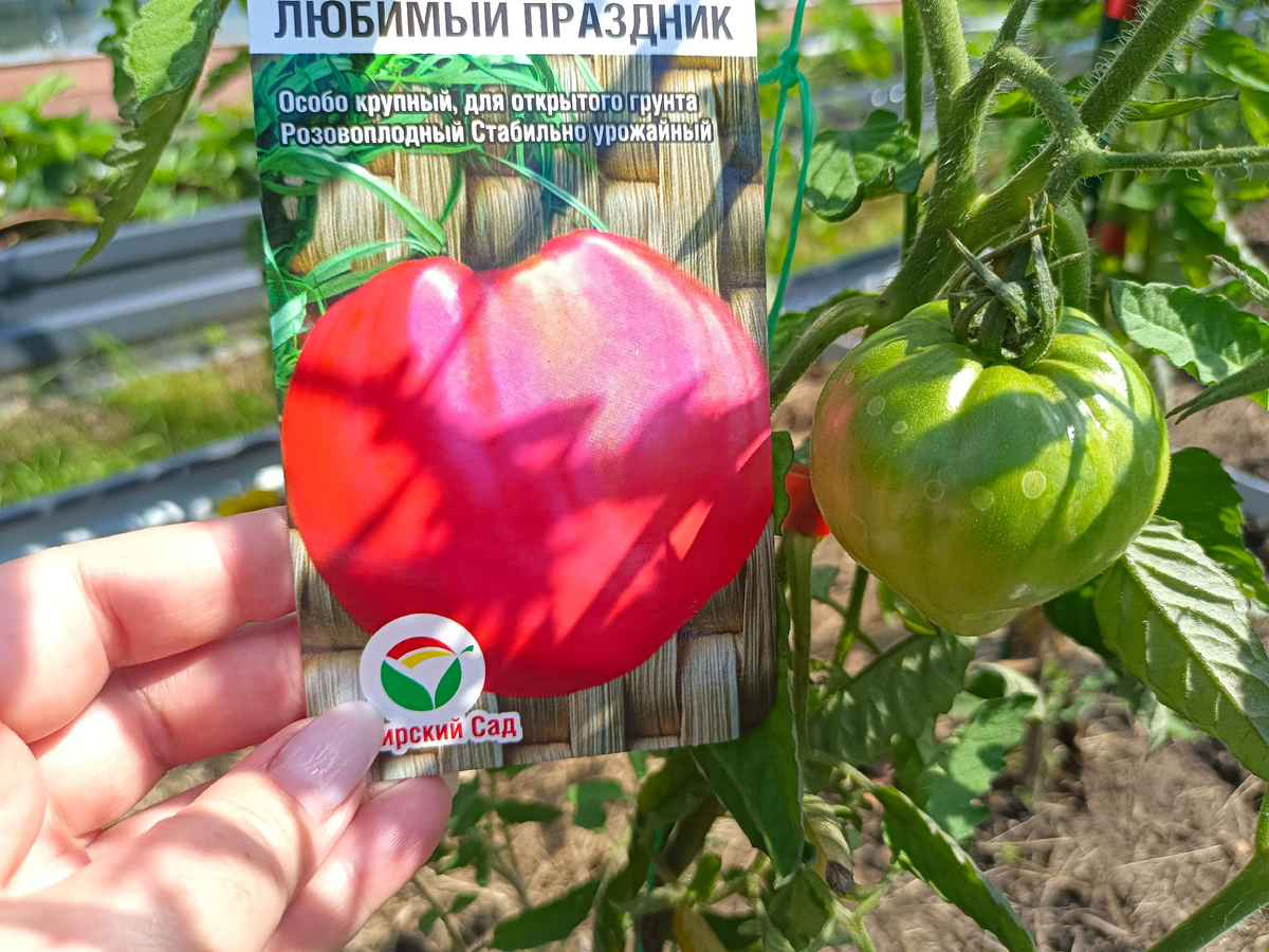 "Любимый праздник"