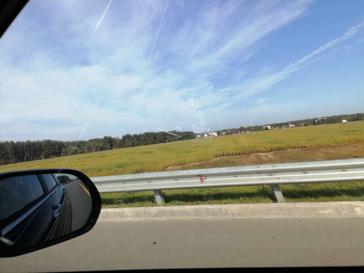 опа, и уже где-то под Муромом