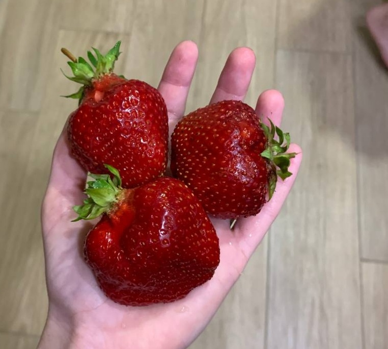 Азия в этом году